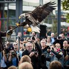 Photokina Greifen Show