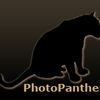 photopanther