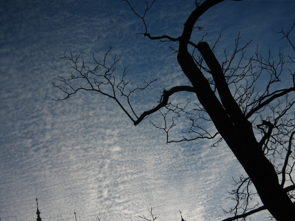 PhotoQuiz - Mirror in the Sky