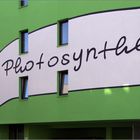 Photosynthese ?