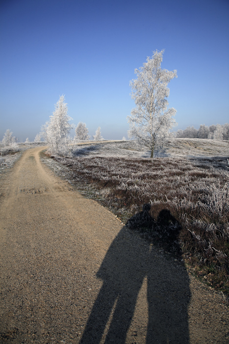 photowalking at the winterline