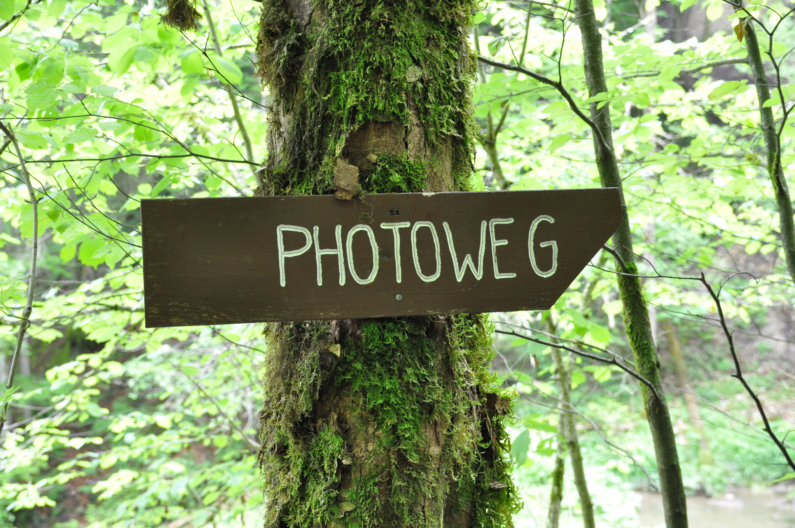 Photoweg