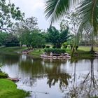 Phra Ruang Hot Springs Garden