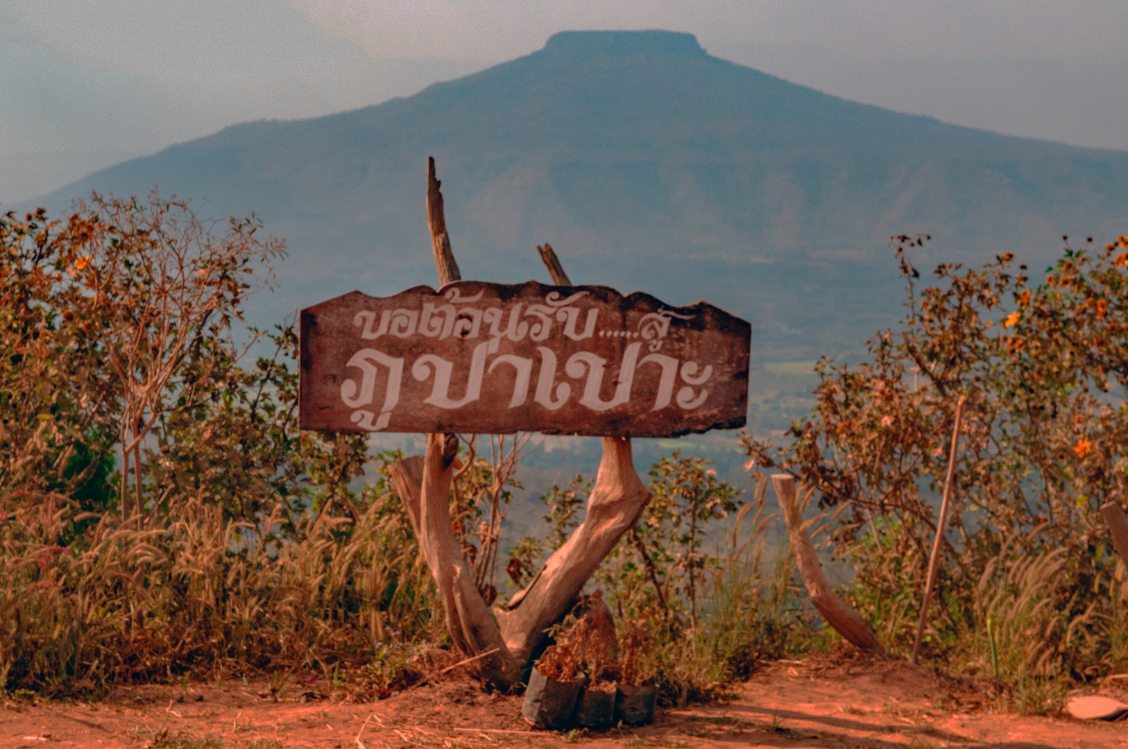 Phu Ho view point Phu Pa Pog