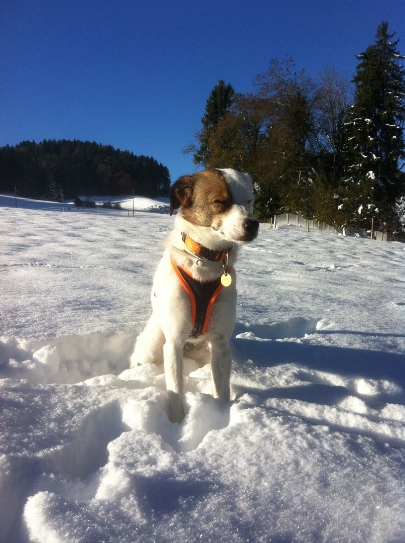 phu, ich brauche eine Schneebrille!