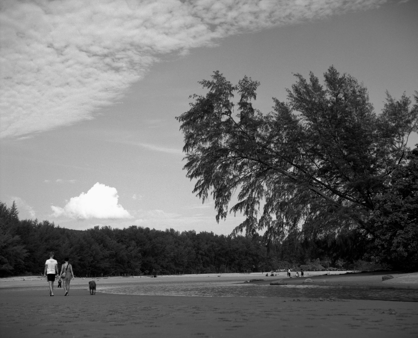 Phuket Beach - Strandspaziergang mit Hund