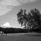 Phuket Beach - Strandspaziergang mit Hund