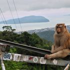 Phuket - Thailand - Big Buddha