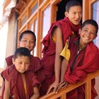 Phyang Monestary: Young monks - curious
