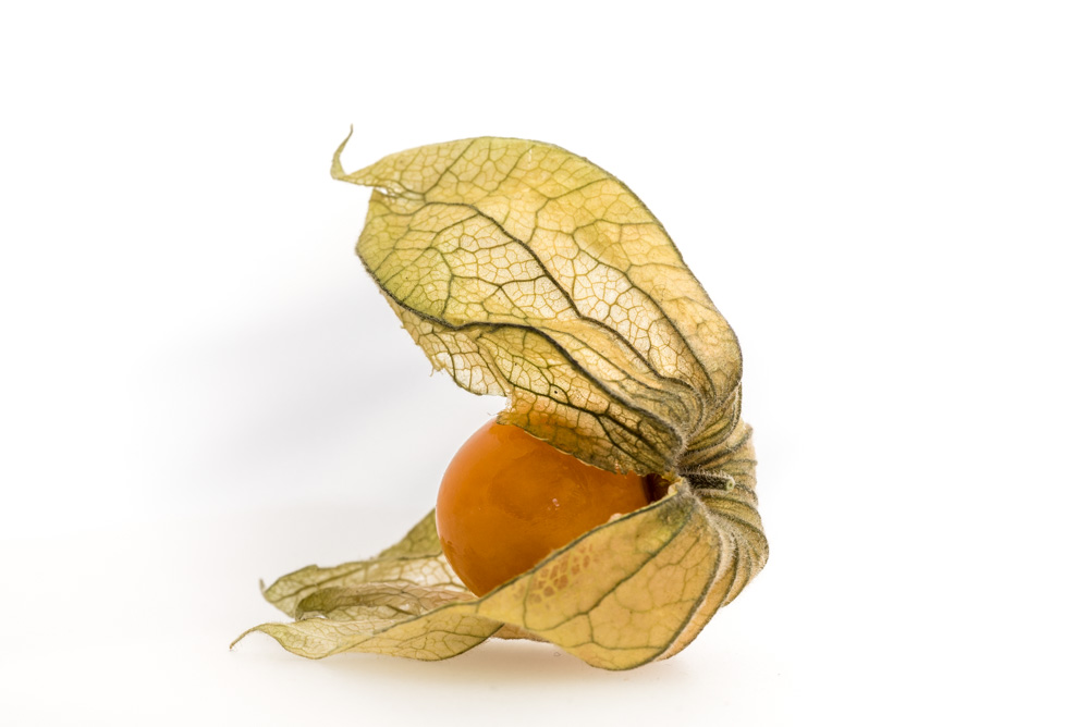 physalis