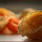 Physalis 1