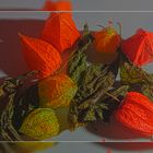 Physalis 2