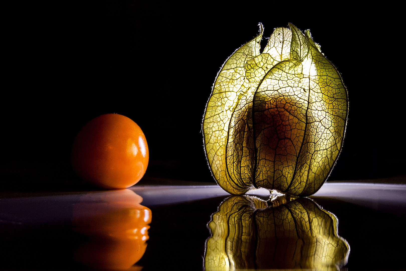 Physalis #2