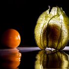 Physalis #2