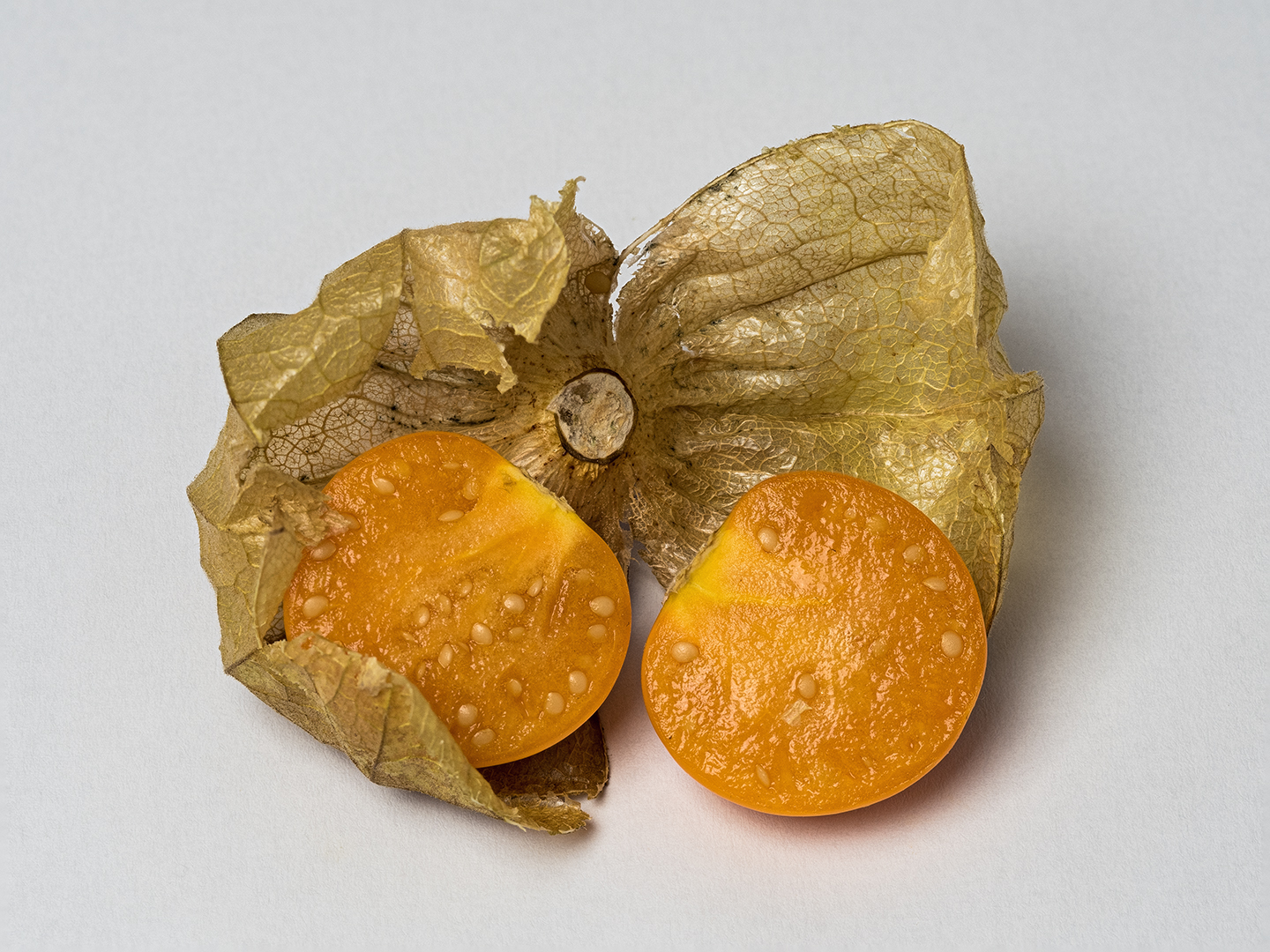 Physalis