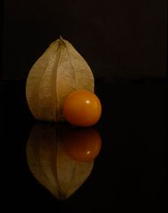 Physalis