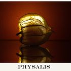 PHYSALIS