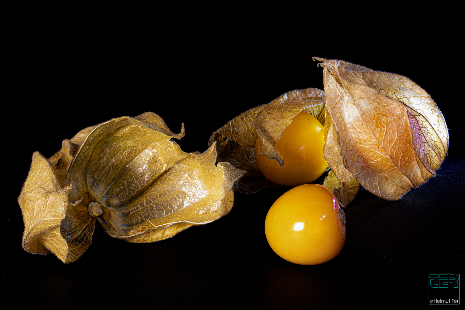 Physalis