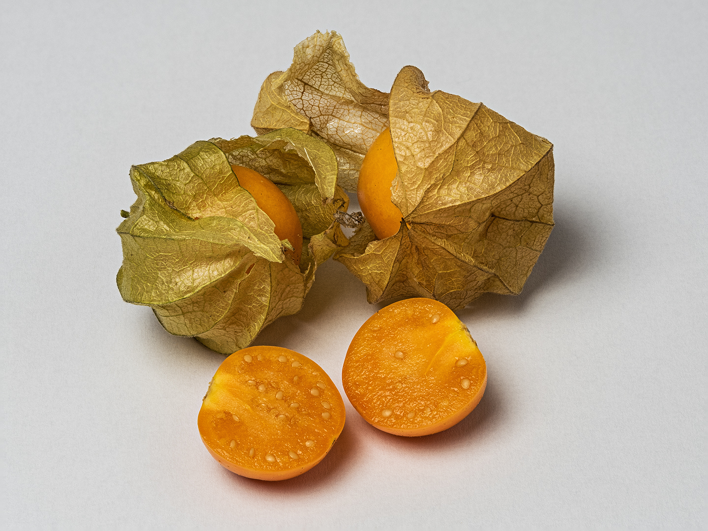 Physalis