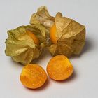 Physalis