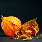 Physalis Abbruch 