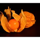 Physalis.....