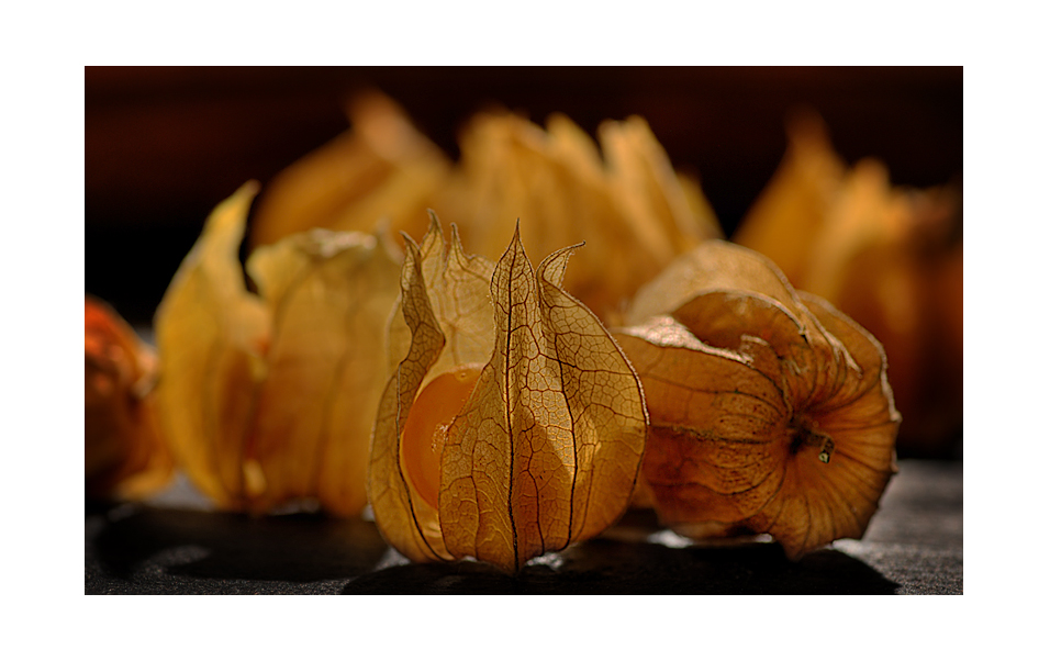 physalis