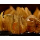 physalis