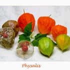 Physalis