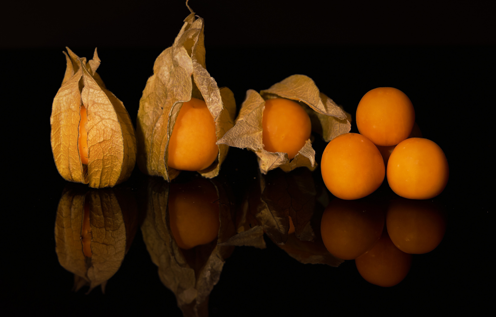 Physalis