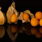 Physalis