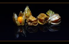 Physalis.