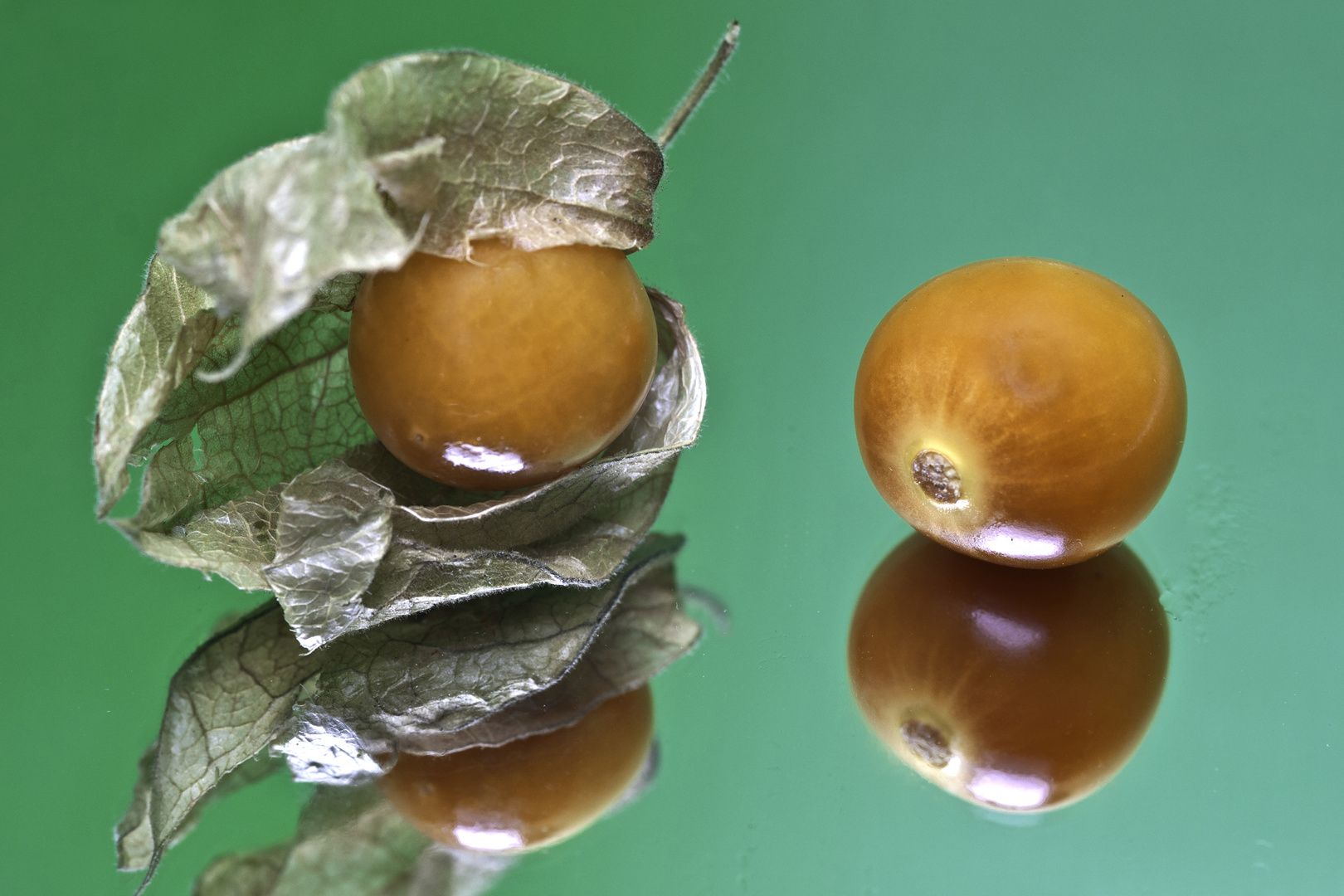 Physalis gespiegelt