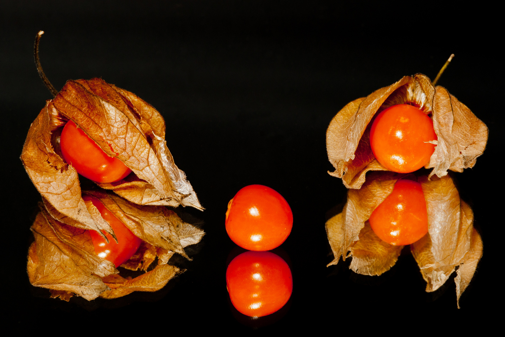 Physalis gespiegelt