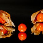 Physalis gespiegelt