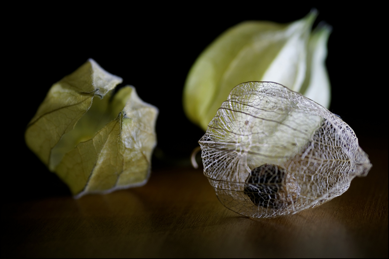 Physalis II