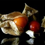 Physalis II