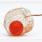 * Physalis II *