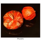 Physalis II