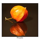 Physalis III