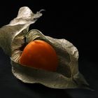 Physalis, Kapstachelbeere