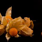 Physalis (Kapstachelbeeren)