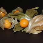 Physalis, sie sind so lecker und bringen gute Laune =)