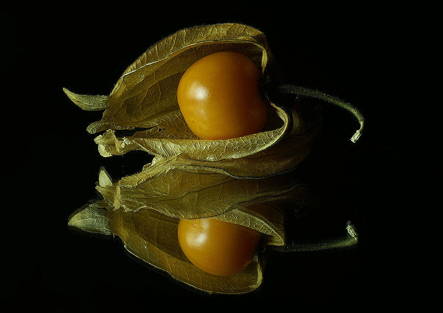 Physalis-Spiegel