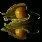 Physalis-Spiegel