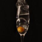 Physalis Splash