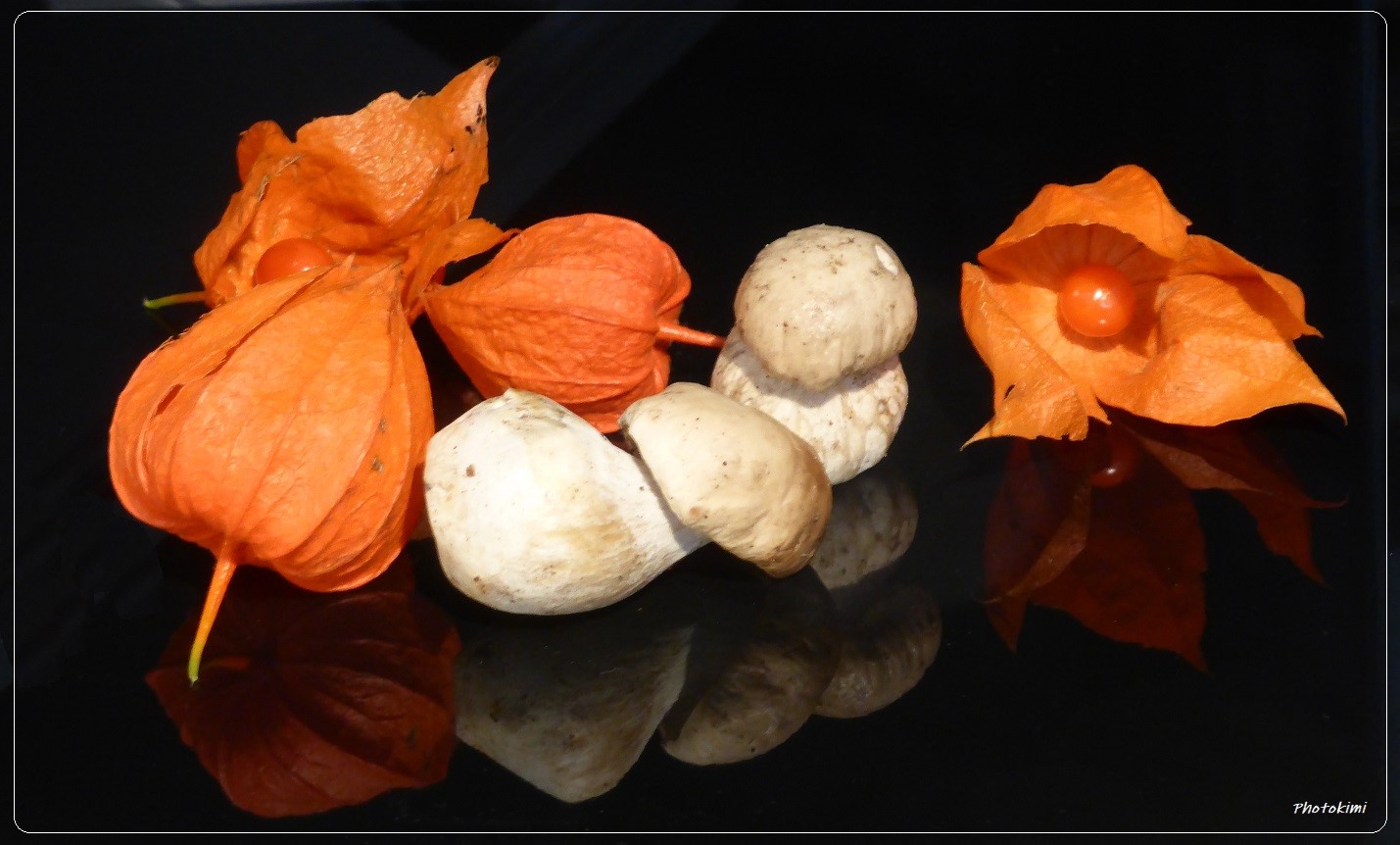 Physalis und Steinpilzchen