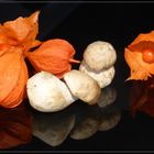 Physalis und Steinpilzchen