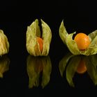 Physalis zu dritt