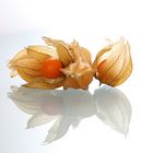 physalis.a few.fresshhh